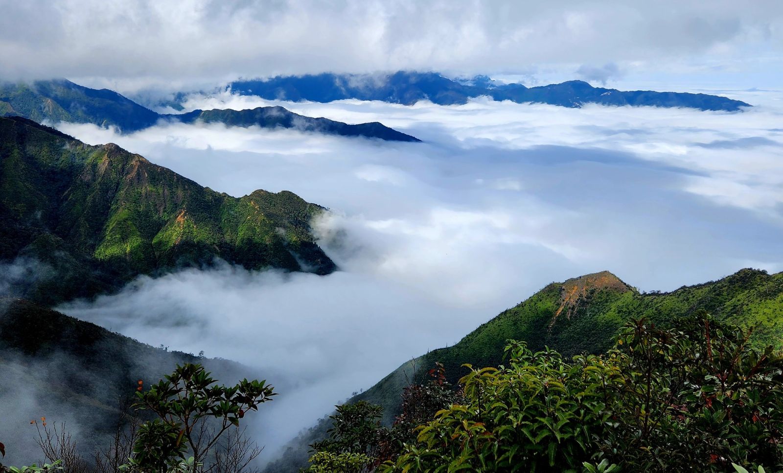 Vẻ đẹp thơ mộng của thiên đường Tà Xùa