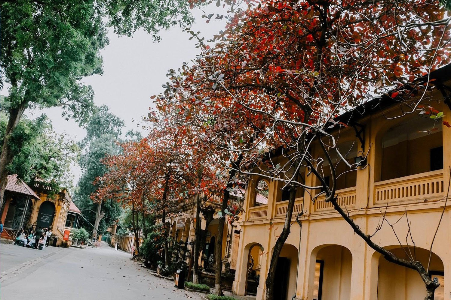 Tận hưởng vẻ đẹp đầy hoài niệm của phố cổ Hà Nội